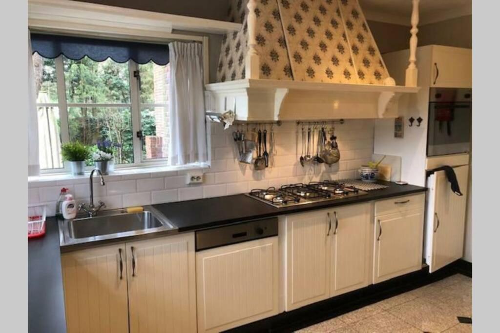 Vrijstaande Rietgedekte Villa Nabij Uitvalswegen Wassenaar Bagian luar foto